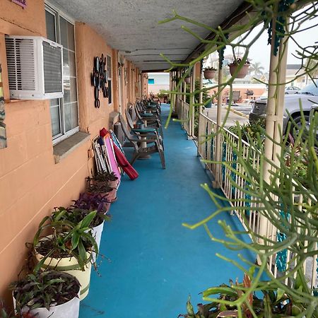 Michaels Siesta Motel St. Petersburg Exterior foto