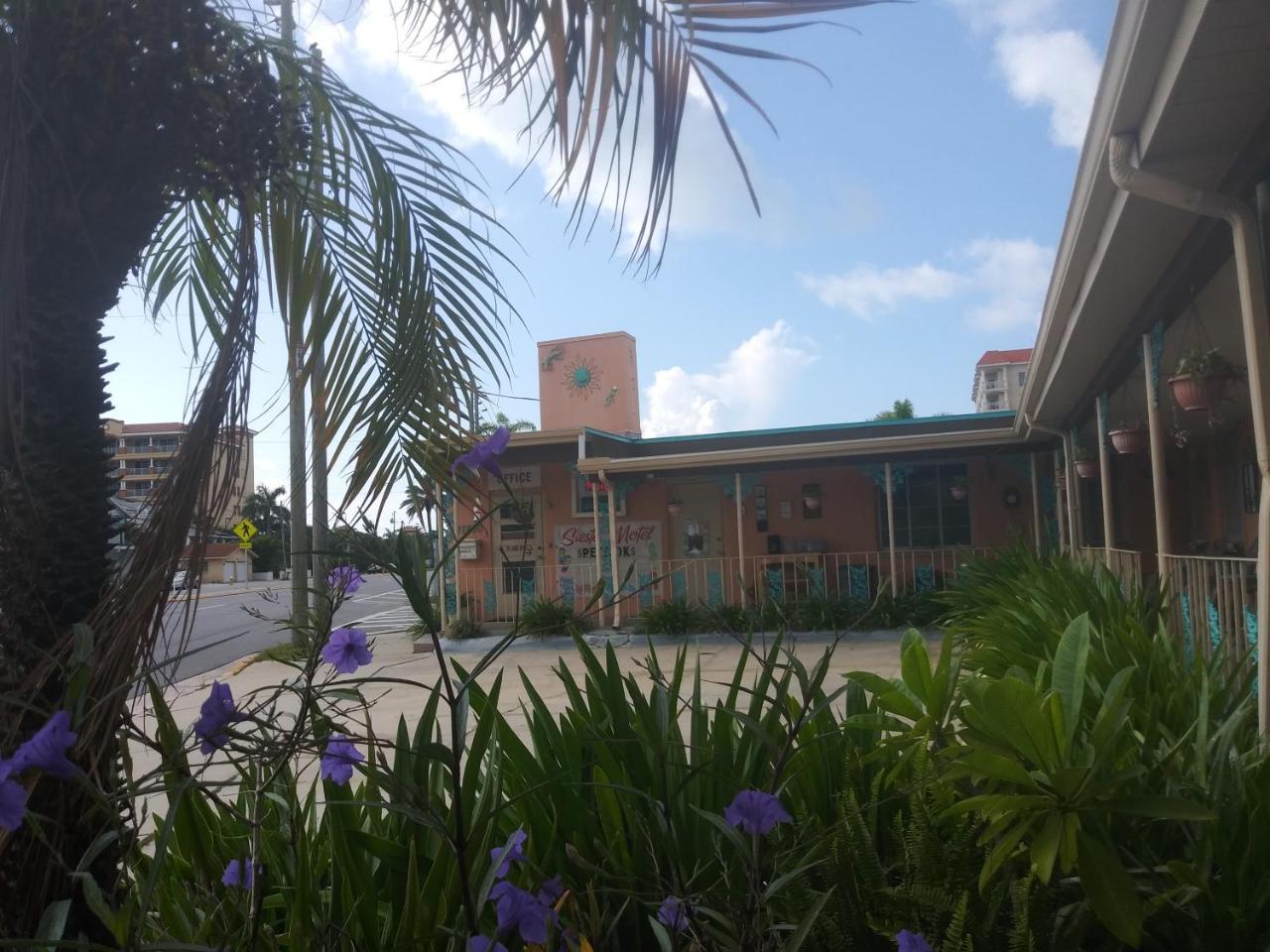 Michaels Siesta Motel St. Petersburg Exterior foto